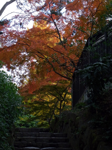 岡崎公園♪(その3)