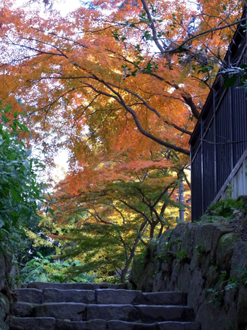 岡崎公園♪(その3)