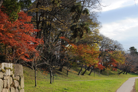 岡崎公園♪(その7)