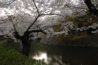 岡崎公園で♪