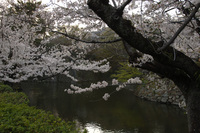 岡崎公園で♪