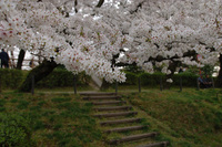 岡崎公園で♪（その2）