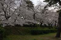 岡崎公園で♪（その2）