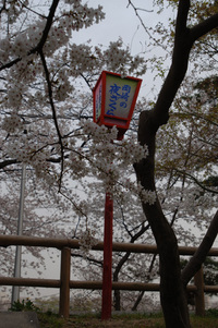 岡崎公園で♪（その3）