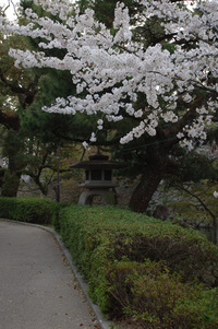 岡崎公園で♪（その3）