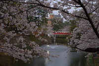 岡崎公園で♪（その6）