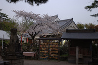 岡崎公園で♪（その6）