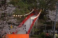 岡崎公園で♪（その7）