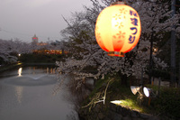 岡崎公園で♪（その7）
