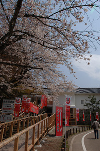 彦根城で（その3）
