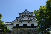 彦根城♪