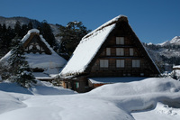 去年の白川郷♪（その3）