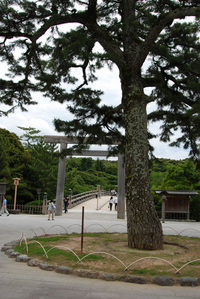 伊勢神宮♪
