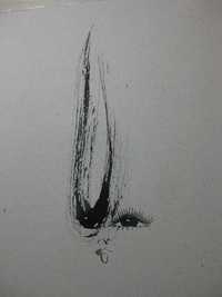 麗人画・描き方・１２月１１日版