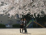 お花見日和
