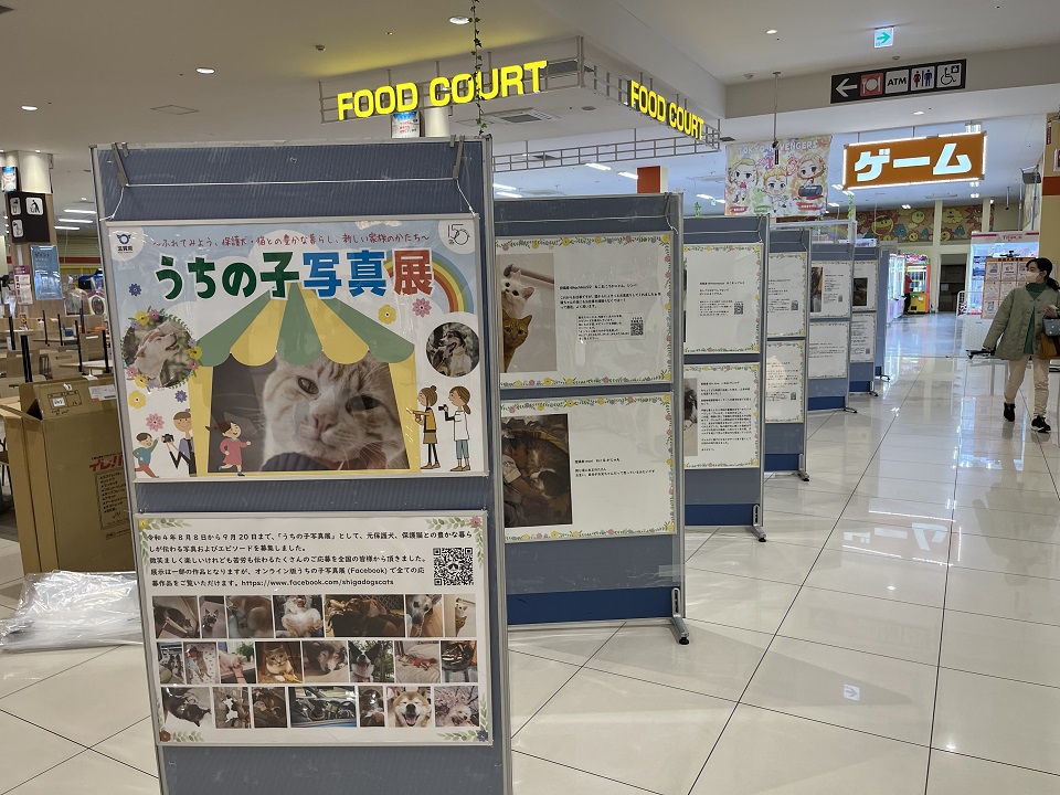 写真展