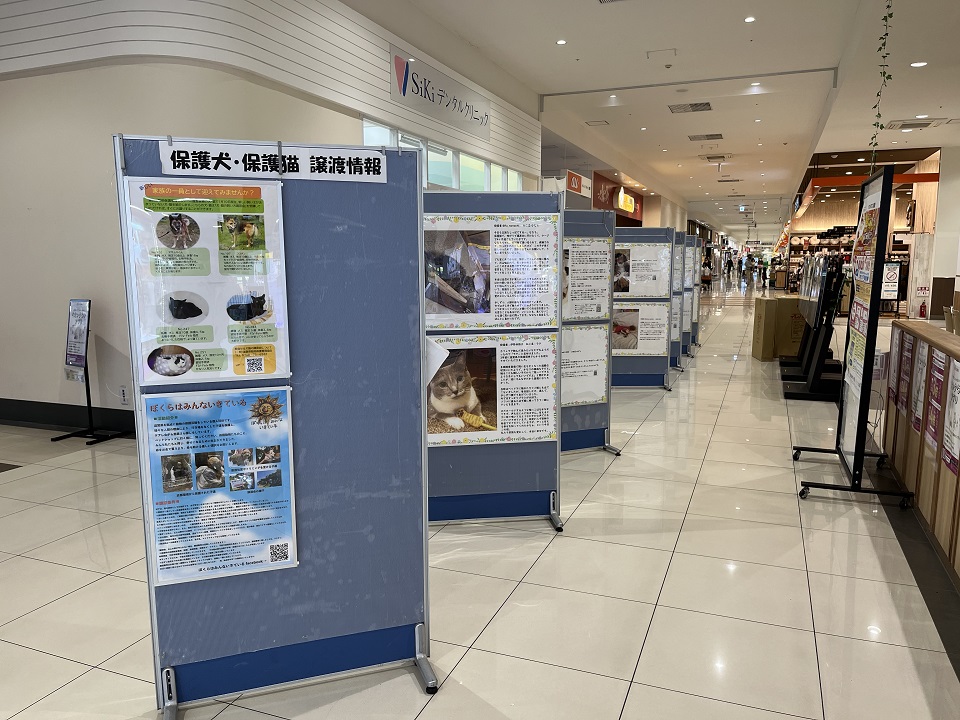 写真展