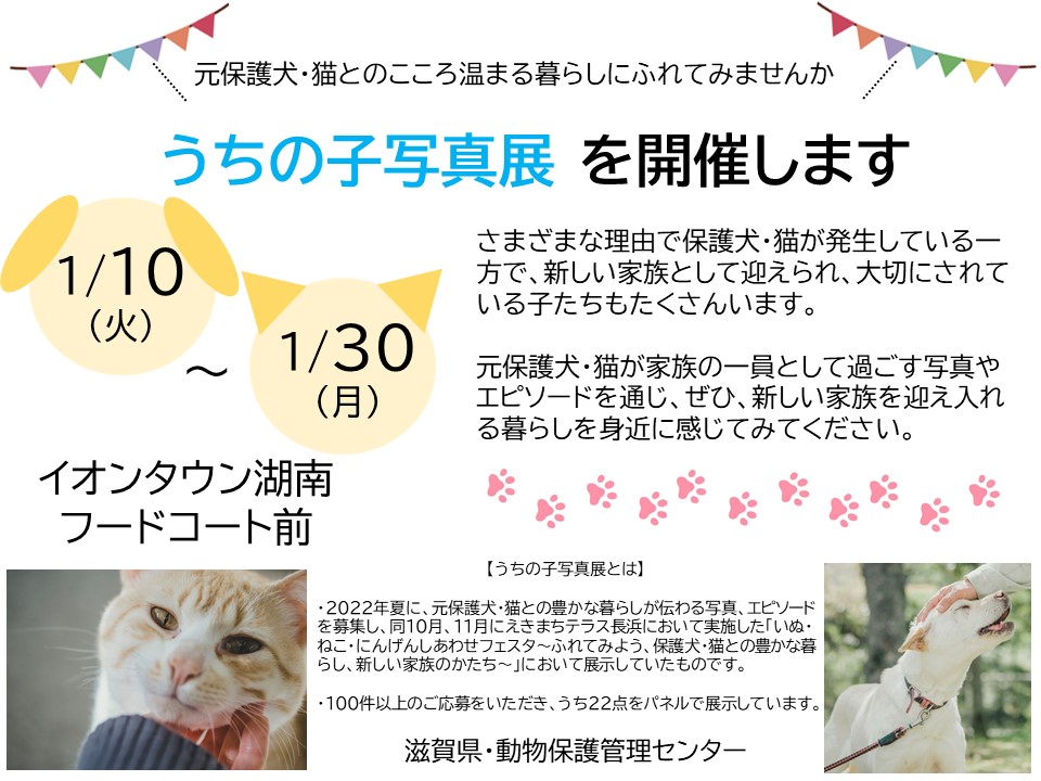 イベントチラシ