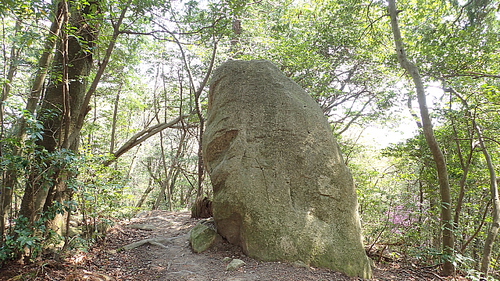 本坂から荒神山469