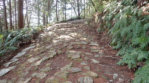 本坂から荒神山469