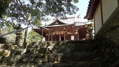 本坂から荒神山469