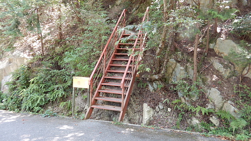 最悪のスローな歩きで荒神山495
