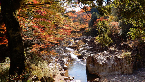紅葉にはあと少し