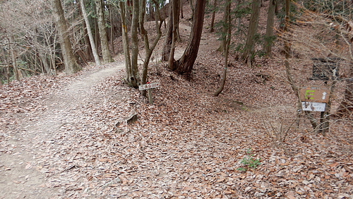 黙々と荒神山537