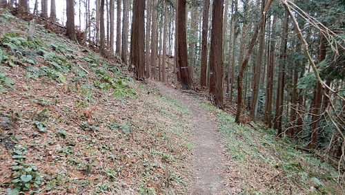 黙々と荒神山537