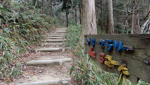 黙々と荒神山537
