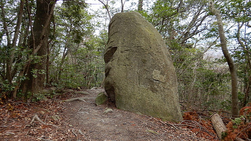 黙々と荒神山537