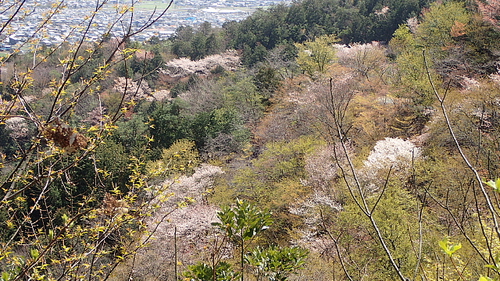 風強し荒神山544