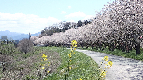 風強し荒神山544