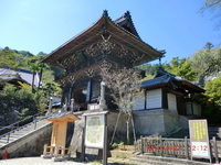 長谷寺