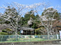 河内神社