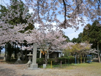 樹下神社