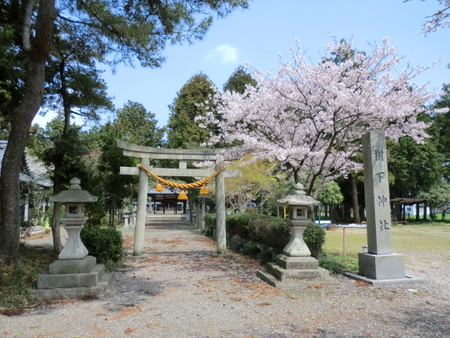 樹下神社