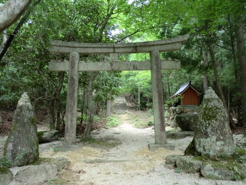 白光大神