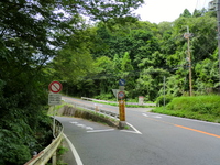 樹下神社