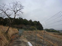 若宮神社