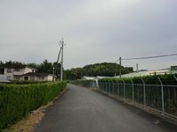 稲荷神社(太留麻大明神)