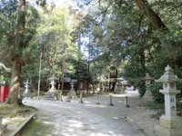 杉之木神社