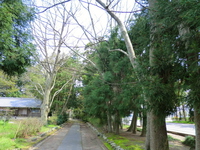 樹下神社