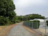 稲荷神社(太留麻大明神)