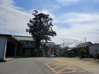 津島神社・愛宕神社