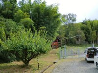 稲荷神社(太留麻大明神)