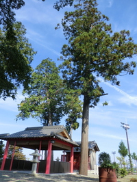雛鶴稲荷神社