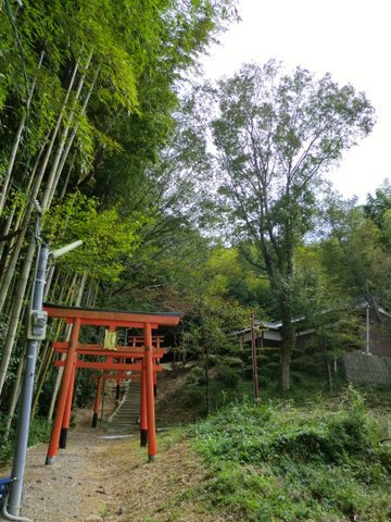 稲荷神社(太留麻大明神)