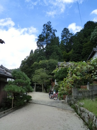 樹下神社