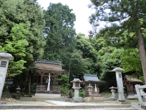 樹下神社